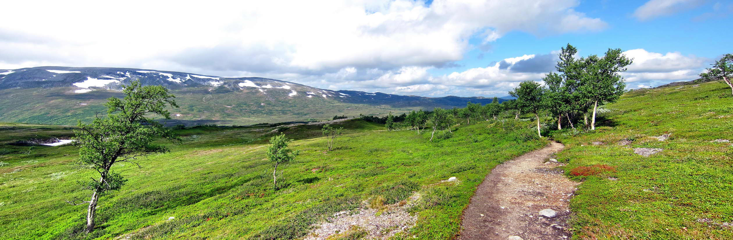 Mot_Jøldalshytta
